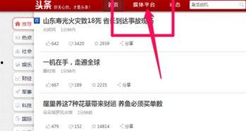 今日头条的专栏怎么发布,打造引人注目的文章副标题