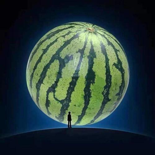 晓晨吃瓜,揭秘娱乐圈幕后故事