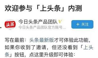 查看已发布的头条内容,最新发布内容深度解析