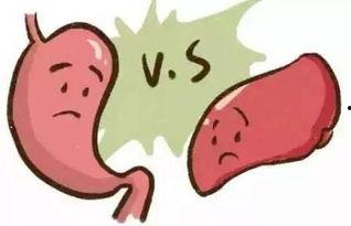 吃肝脏的瓜吐了,揭秘吃肝脏瓜果后的奇妙反应