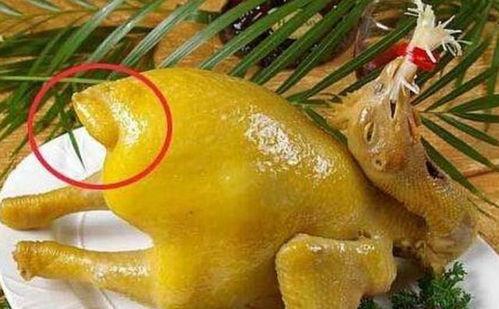 吃鸡屁股瓜,一场舌尖上的美食冒险之旅