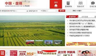 盘锦网友爆料视频最新一期,最新一期视频揭秘惊人真相！